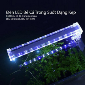 đèn kẹp bể cá thuỷ tinh