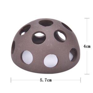đồ chơi tép cảnh đẹp