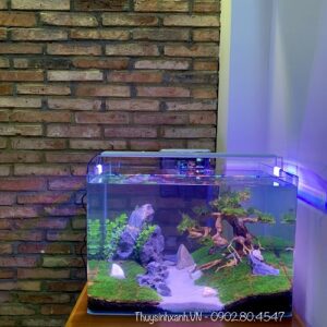 Hồ kính đúc size 45