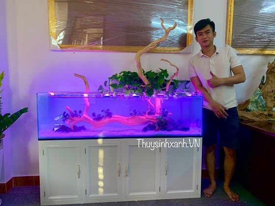 ho-thuy-sinh-lon-mau-001-3