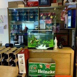 Đèn xuanmeilong dùng cho hồ cá mini