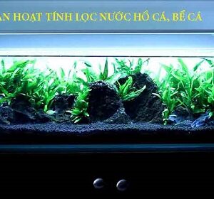 than-hoat-tinh-loc-be-ca