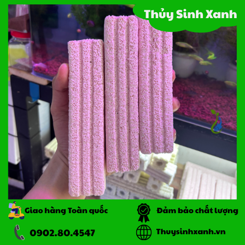 thanh-su-loc-1