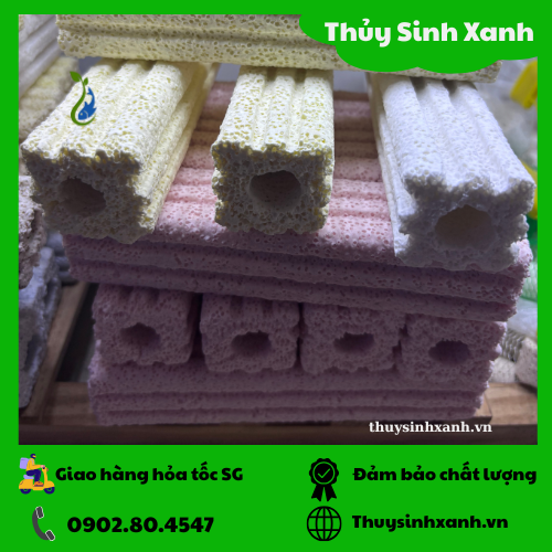 thanh-su-loc-2