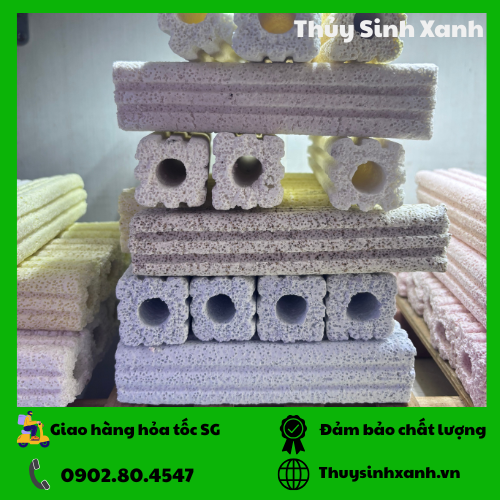 thanh-su-loc-3