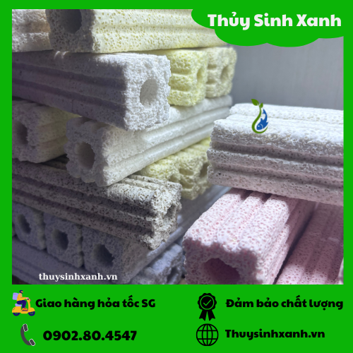 thanh-su-loc-4