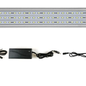 đèn odyssea slim x