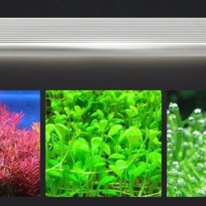 đèn led thuỷ sinh odyssea slim x