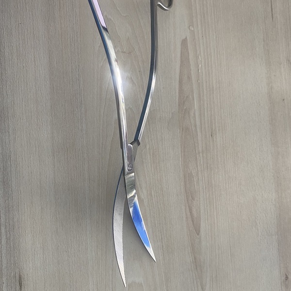 keo-luon-song-thuy-sinh-3 kéo lượn sóng tỉa cây