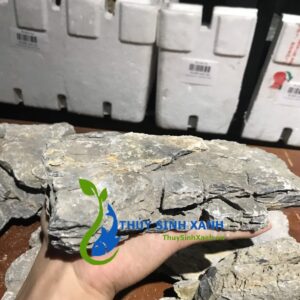 đá vĩa đẹp tại hồ chí minh