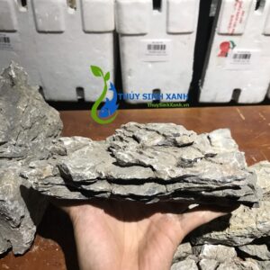 đá vỉa hồ thuỷ sinh