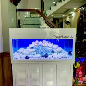 hồ cá san hô đá