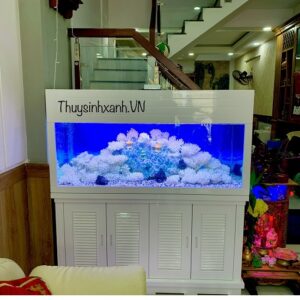bể cá sang hô
