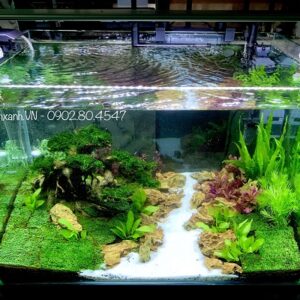hồ thuỷ sinh kích thước 60x40x40