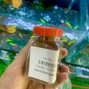Thức ăn cám thái giá rẻ