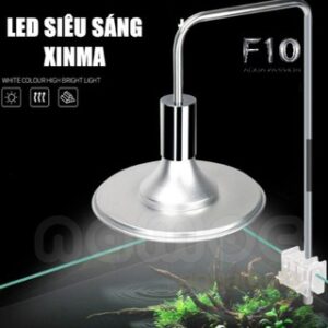 đèn xima 40w