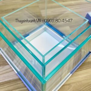 bể cá thủy sinh cubic