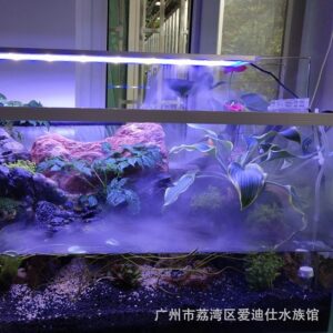 Máy tạo khói hồ cá