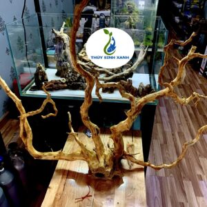 lũa đổ quyên tại sài gòn