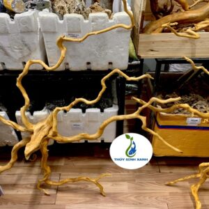 lũa đổ quyên đẹp