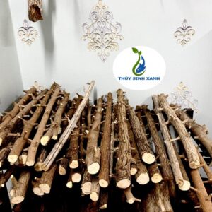 lũa giá rẻ thủy sinh xanh