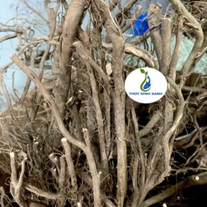 kho lũa giá rẻ thủy sinh xanh