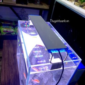 đèn kẹo hồ cá
