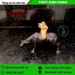Tuong cau be cuoi trau