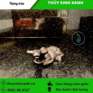 tuong trau bang gom