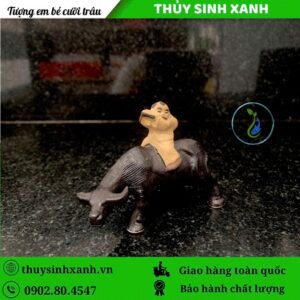 tuong cau be cuoi trau