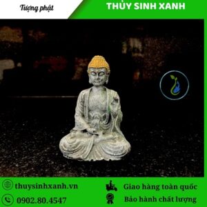 tuong phat trang tri be ca