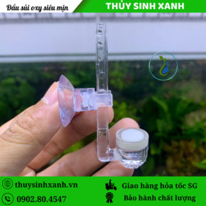 dau sui oxy min