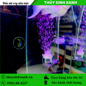 đầu sủi oxy siêu mịn