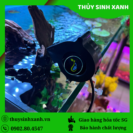 quat-con-so-2 quat lam mat ho ca