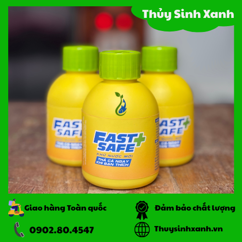 Fast-safe-3 Fast safe