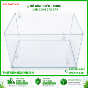 ho duc sieu trong cao cap