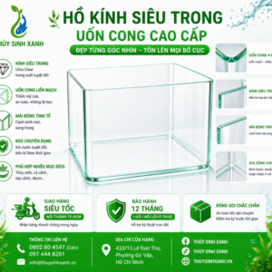 ho kinh duc siêu trong