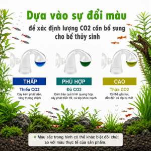 kit test co2 thuy sinh