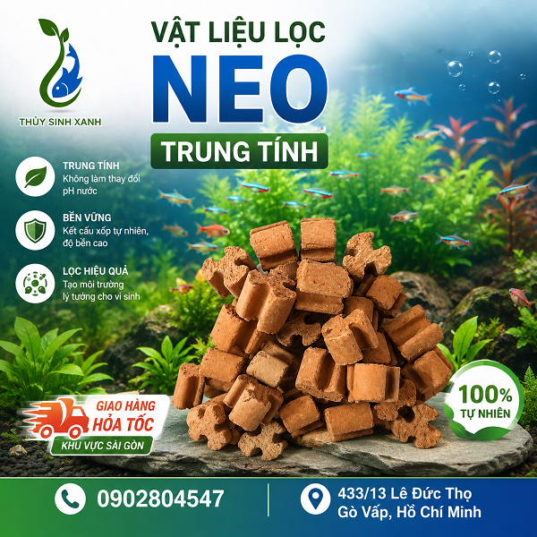 vat lieu loc neo