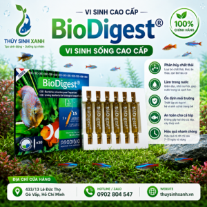 vi sinh bio digest