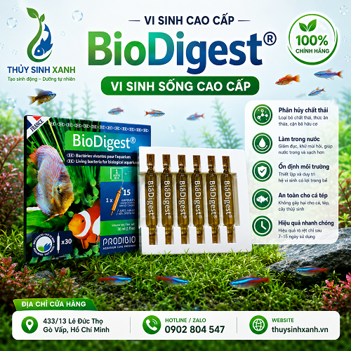 vi sinh bio digest