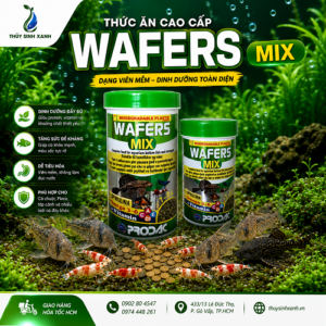 cam chim wafers mix